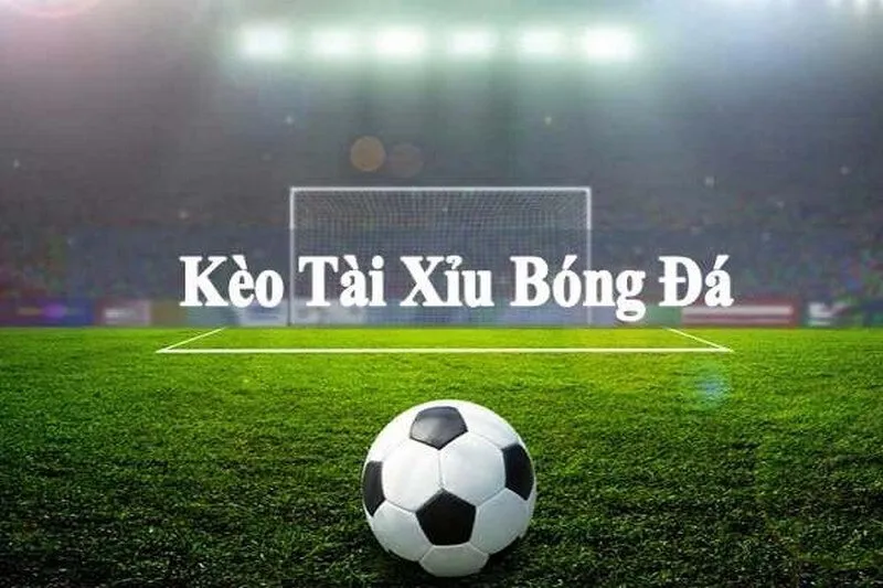 Những mẹo kèo tài xĩu