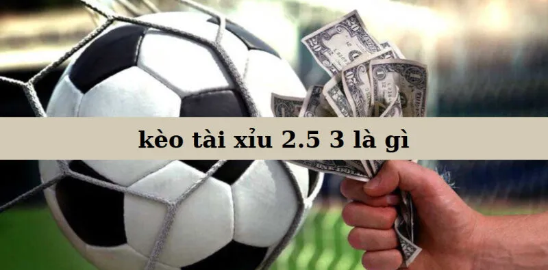 Các Lời Khuyên Khi Chơi Kèo Tài Xỉu 2.5 3