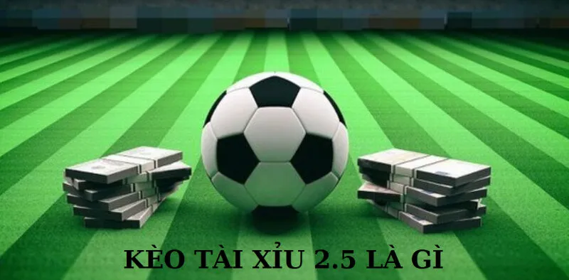 Khái niệm kèo tài xỉu 2.5