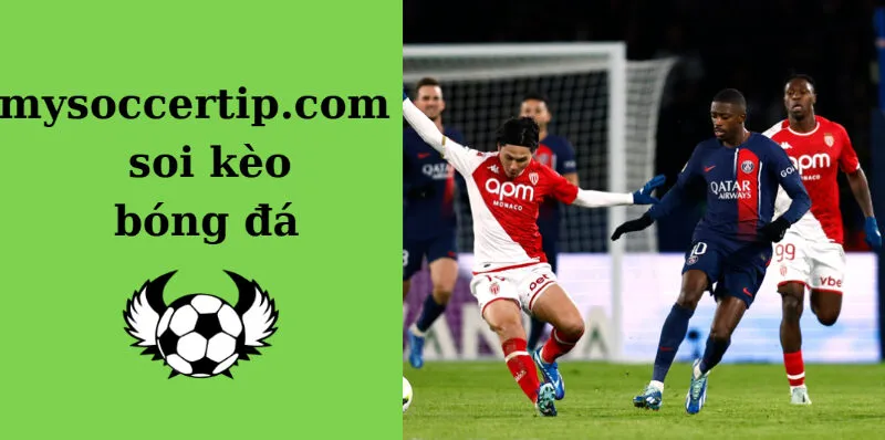 Mysoccertip.com cách soi kèo bóng đá để trở thành chuyên gia