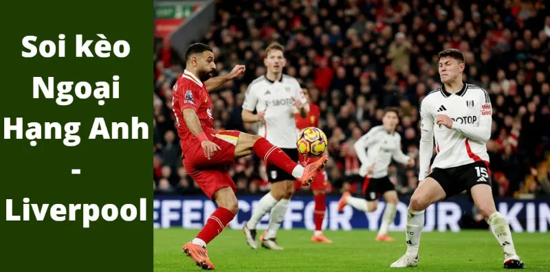 Các yếu tố ảnh hưởng đến soi kèo bóng đá Ngoại hạng Anh Liverpool